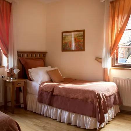 Apartman Castle View *